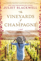 The_vineyards_of_champagne